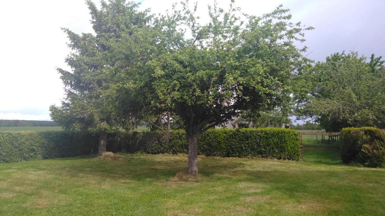 Grande Maison De Plain Pied Avec Jardin Arbore. Champignelles Екстер'єр фото